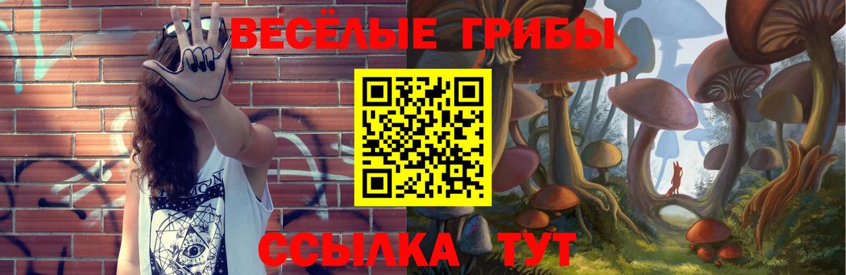 Галлюциногенные грибы прущие грибы  купить наркотик  Чебаркуль  Вход с VPN 