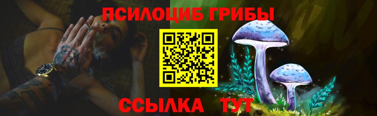 Псилоцибиновые грибы GOLDEN TEACHER Чебаркуль